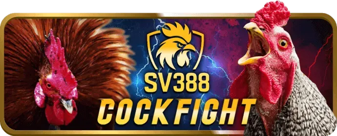 Quà tặng sinh nhật và sự kiện đặc biệt VIP